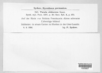 Image Associated With the Occurence